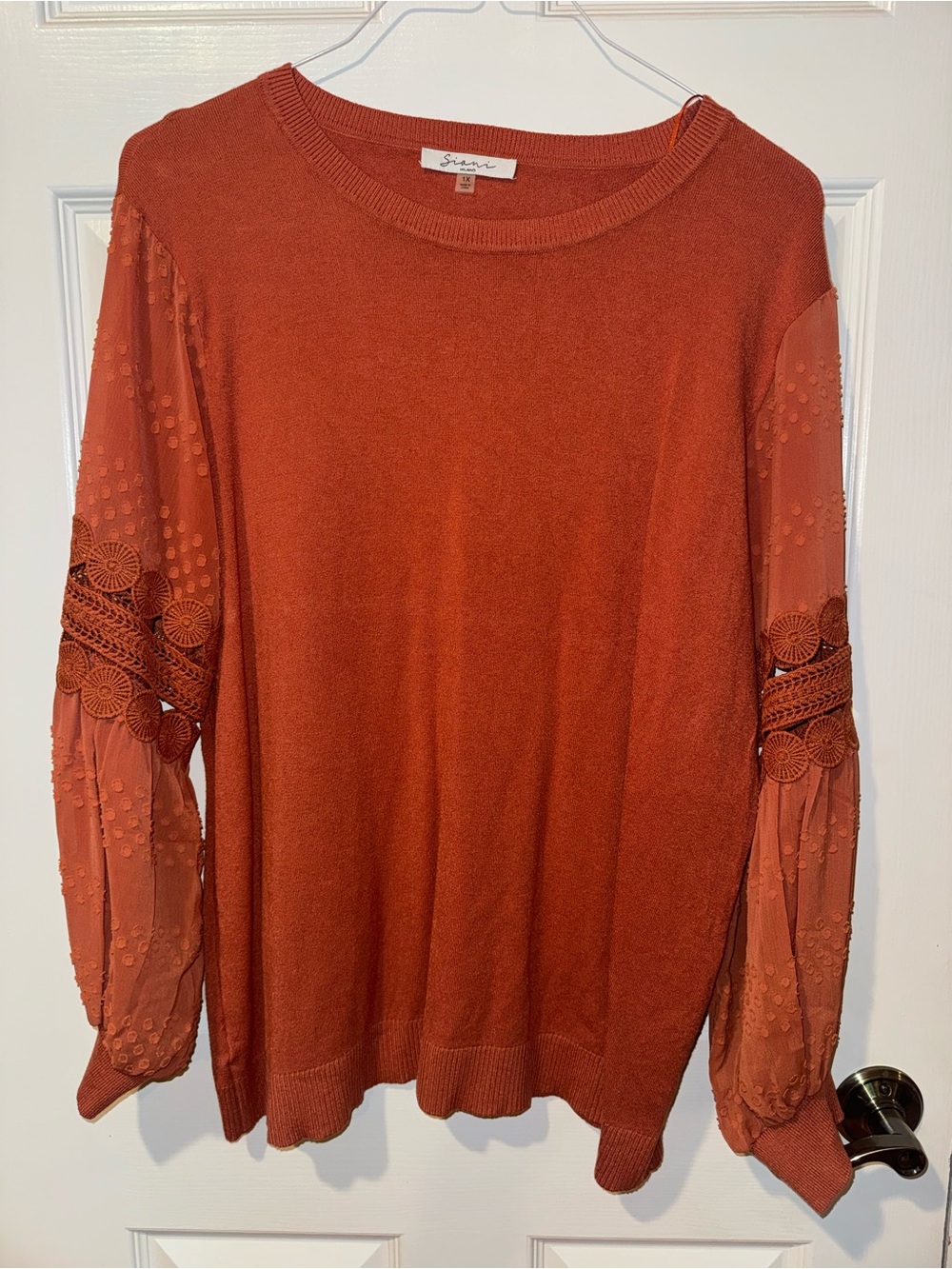 Sioni Rust Orange Sheer Embroidered Sleeve Sweater